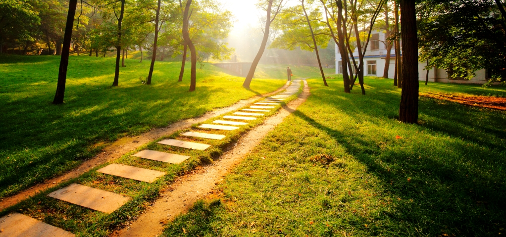 【卓越发展】为党育人为国育才  守正创新推动学校思政课建设