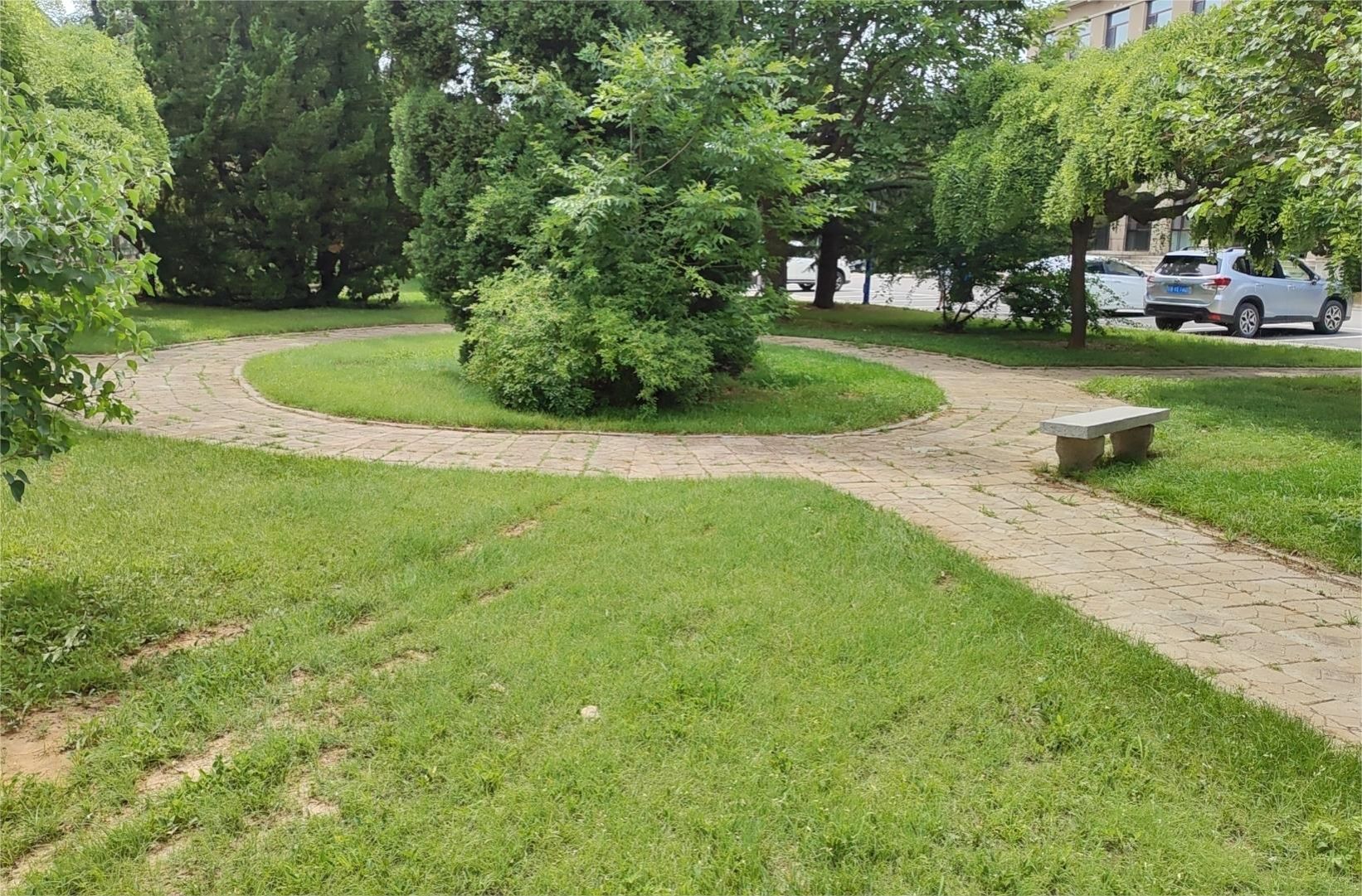 【卓越发展】提升管理效率 建设绿色平安美丽校园