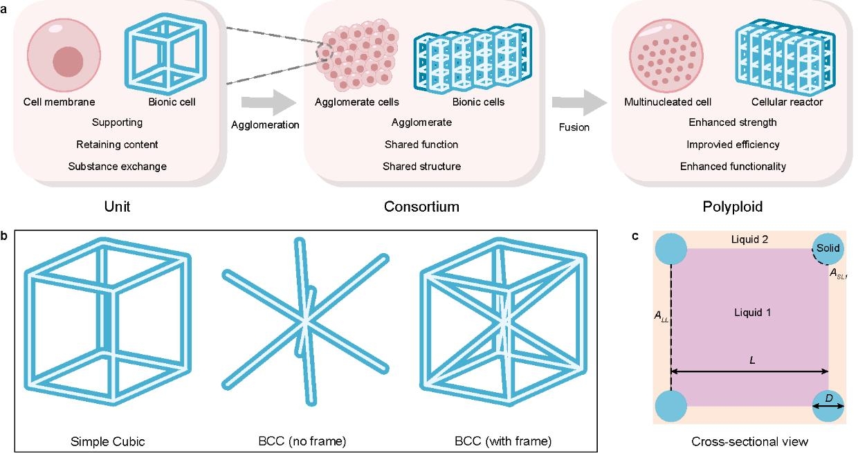 【创新在大工】化学学院科研团队设计新型液液反应器，突破传统挑战
