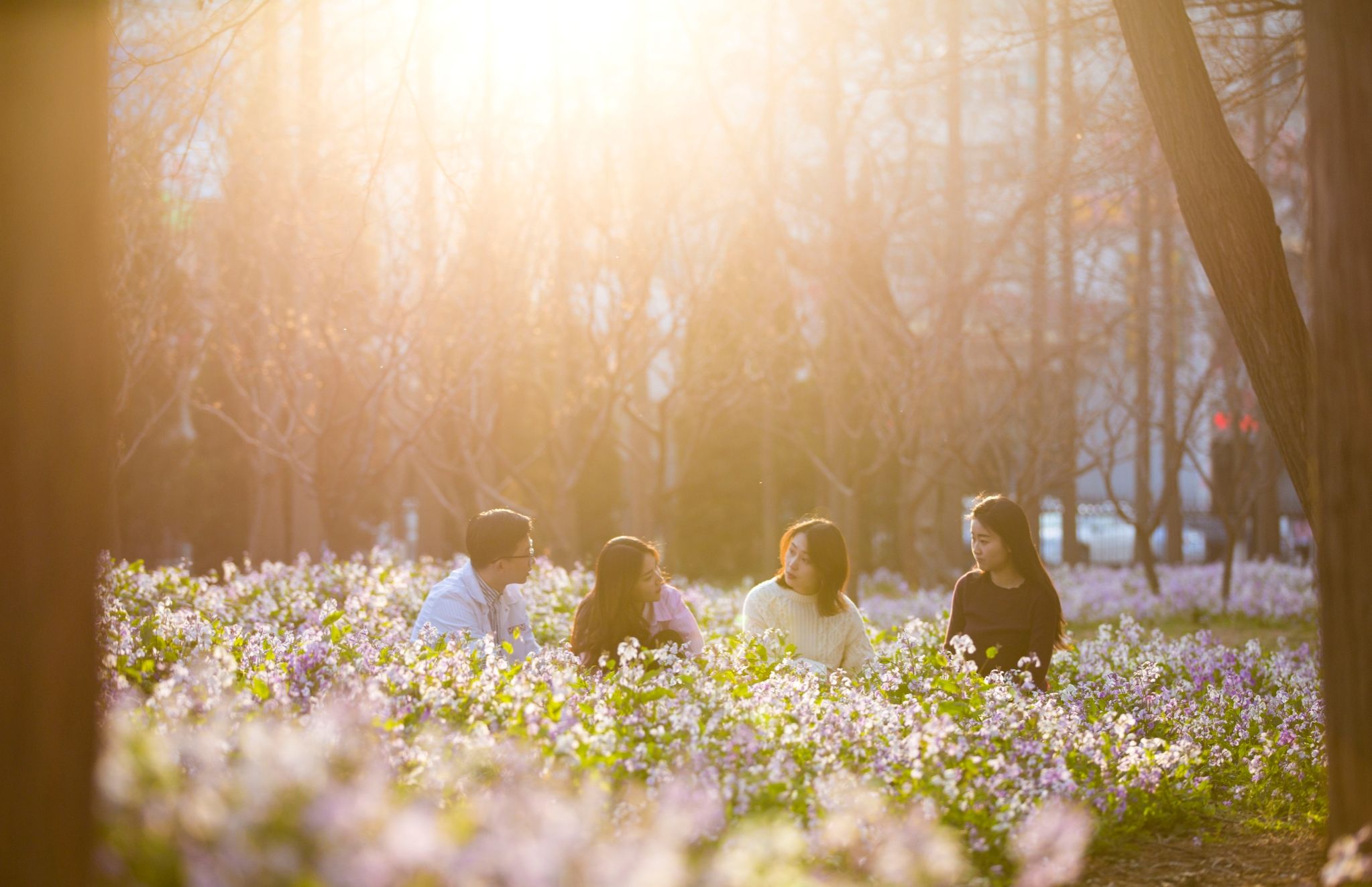 【教育部官网】米乐官方网页版多措并举 积极探索拔尖创新人才培养新模式