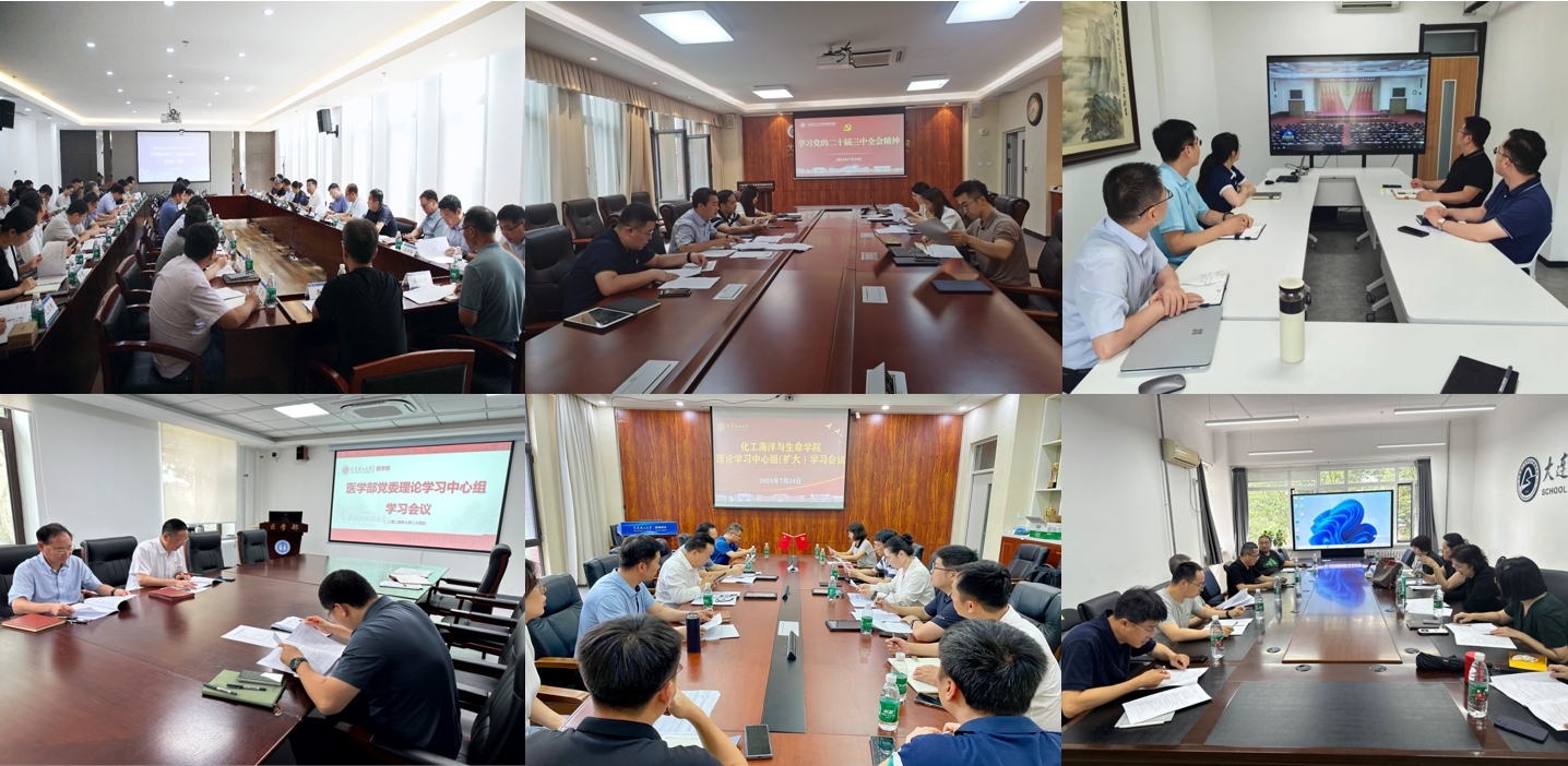 学校基层党组织深入学习贯彻党的二十届三中全会精神