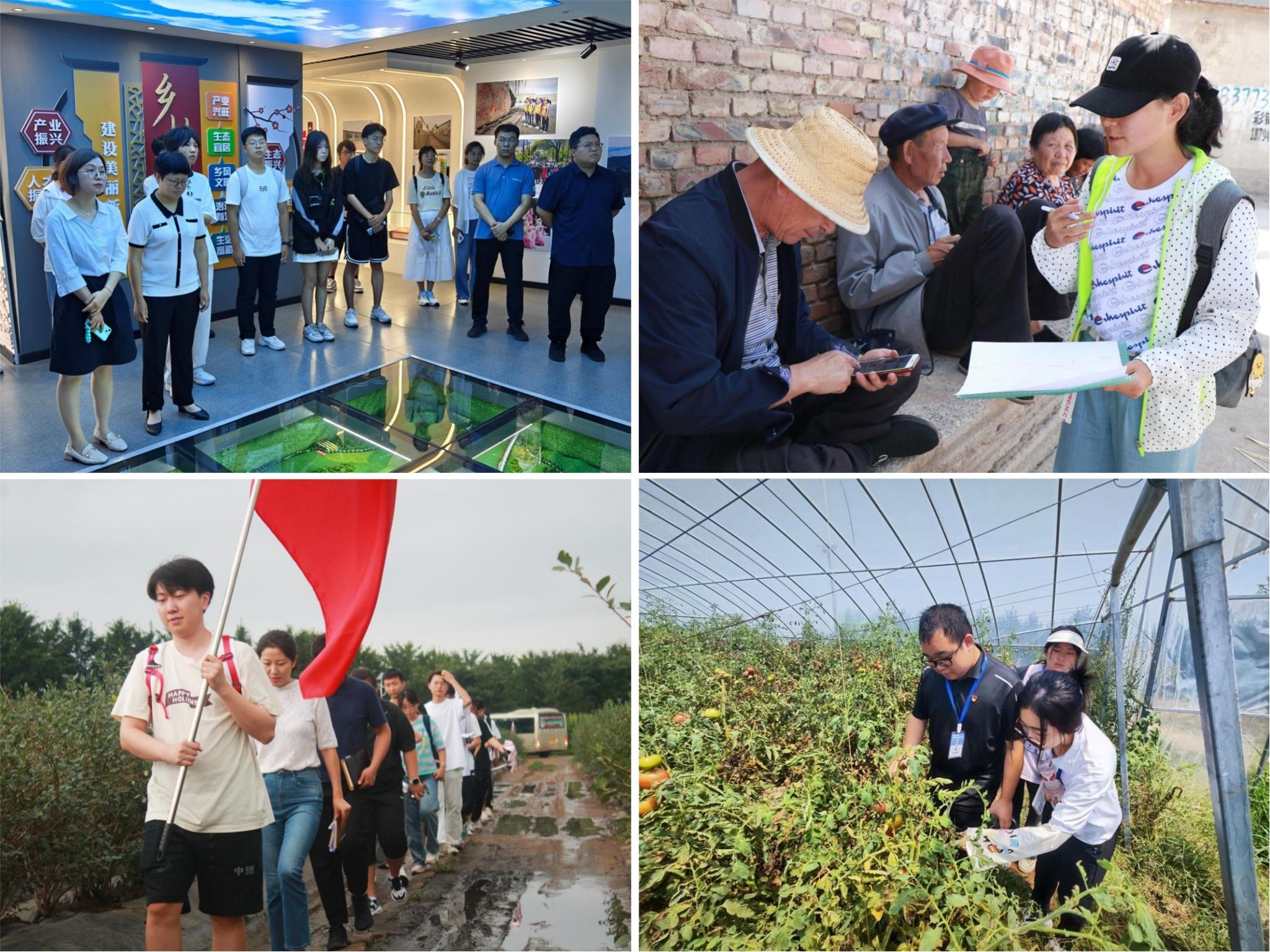 【卓越发展】我校社会实践项目获评2023年辽宁省文化科技卫生“三下乡”活动示范项目