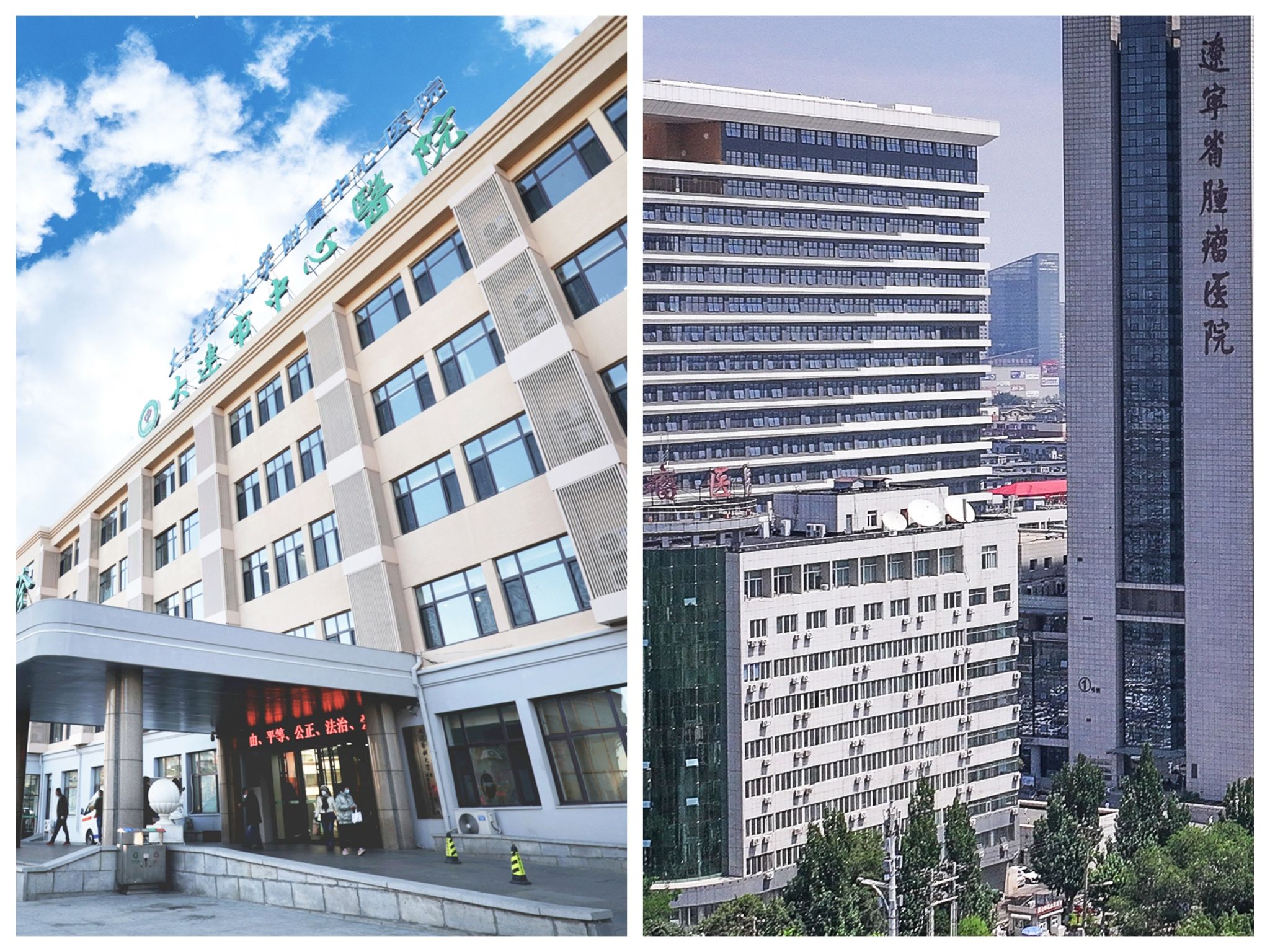 【锻造新优势】我校两所附属医院同获"全国卫生健康系统先进集体"称号