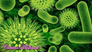 12 Tempat Bersarangnya Bakteri Dan Kuman Disekitarmu